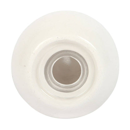 Shell Salt and Pepper Shakers